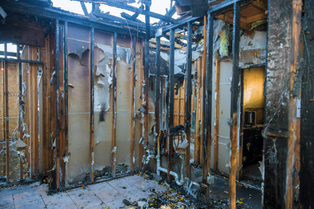 Professional Fire Damage Removal technician working in Gun Barrel City, TX